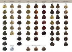 Permanentná farba ORGANIC CARE č. 5.52 (světle mahagonově perlově hnědá) 100 ml Tahe